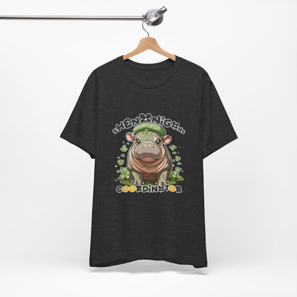 'Shenanigans' Premium Lightweight Tee